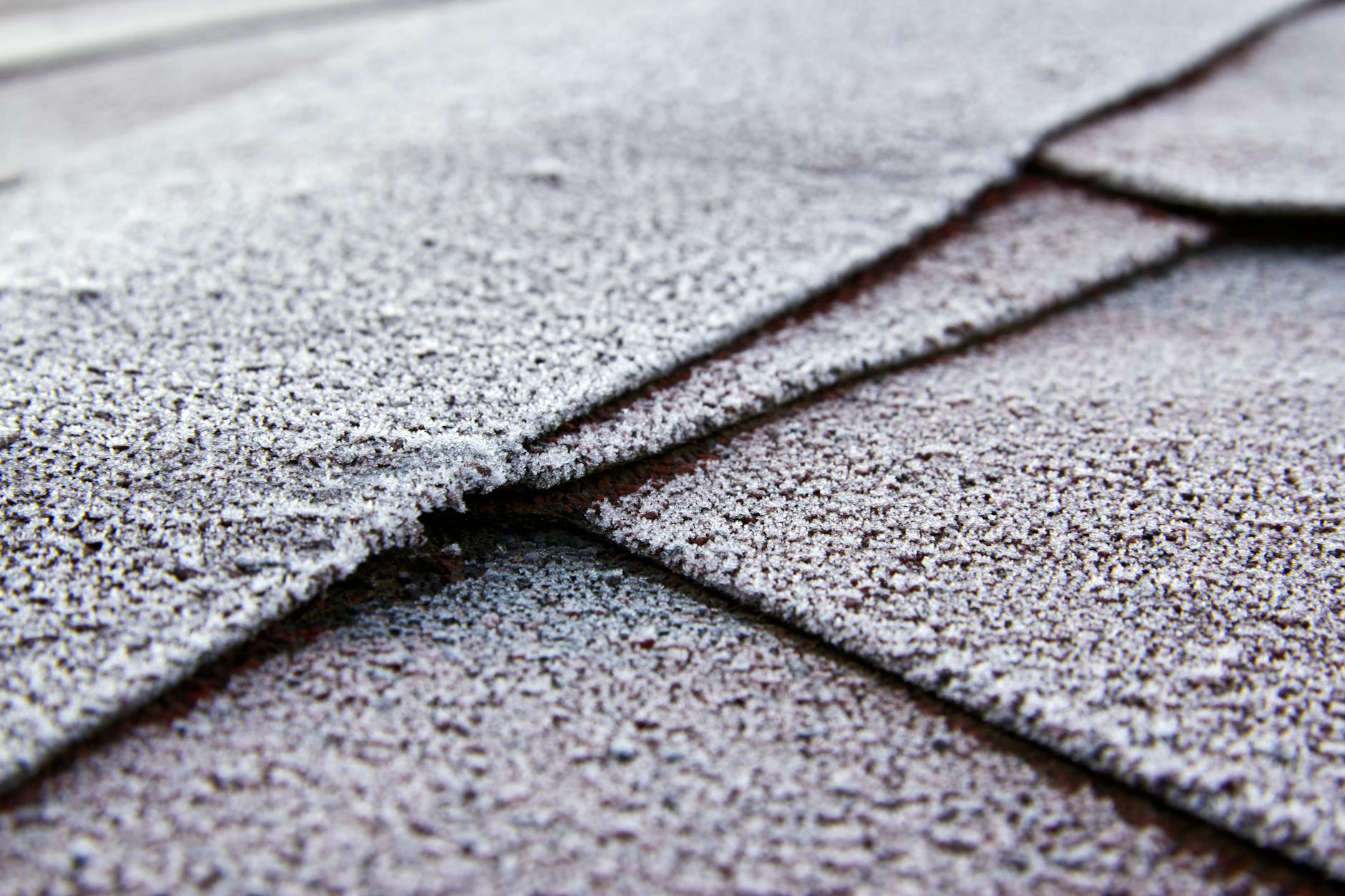 Roofing services in Paterson NJ